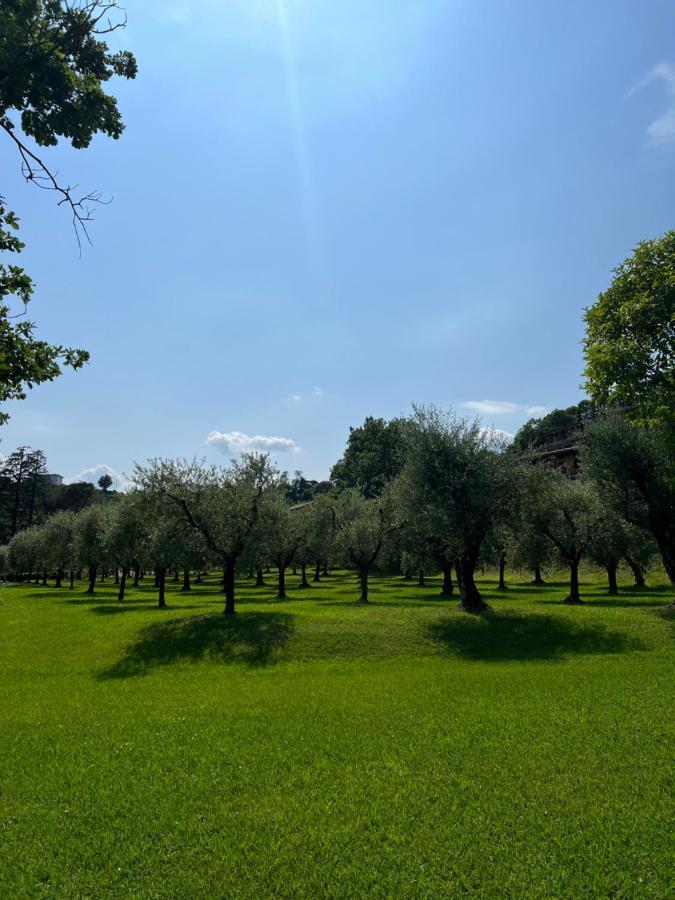 Homely Manerba Manerba del Garda Exteriör bild